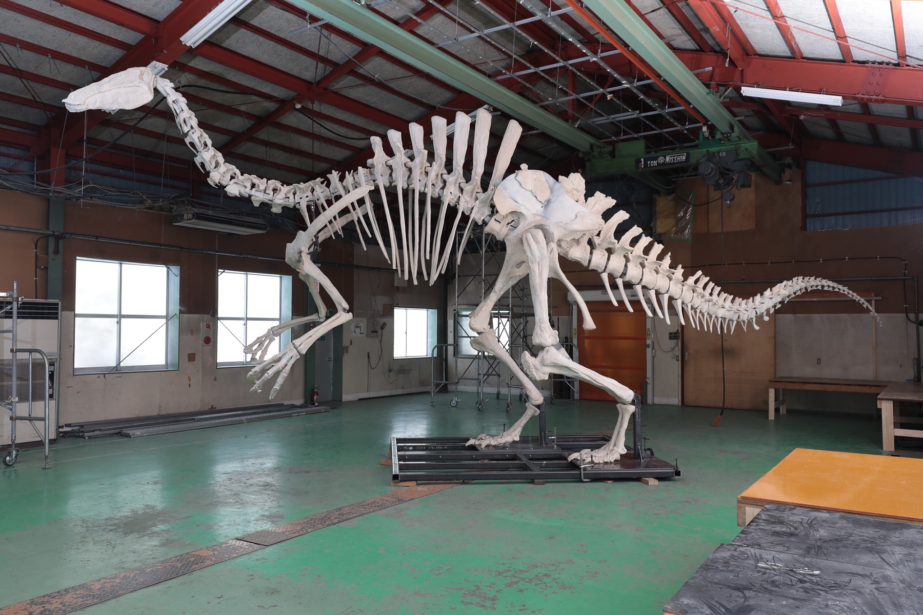 特別展『恐竜博2019』が開催 謎の恐竜デイノケイルスや、北海道