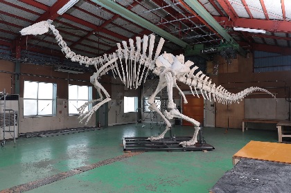 特別展『恐竜博2019』が開催 謎の恐竜デイノケイルスや、北海道で発見