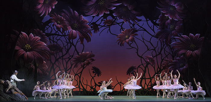 Don Quixote. Artists of The Royal Ballet