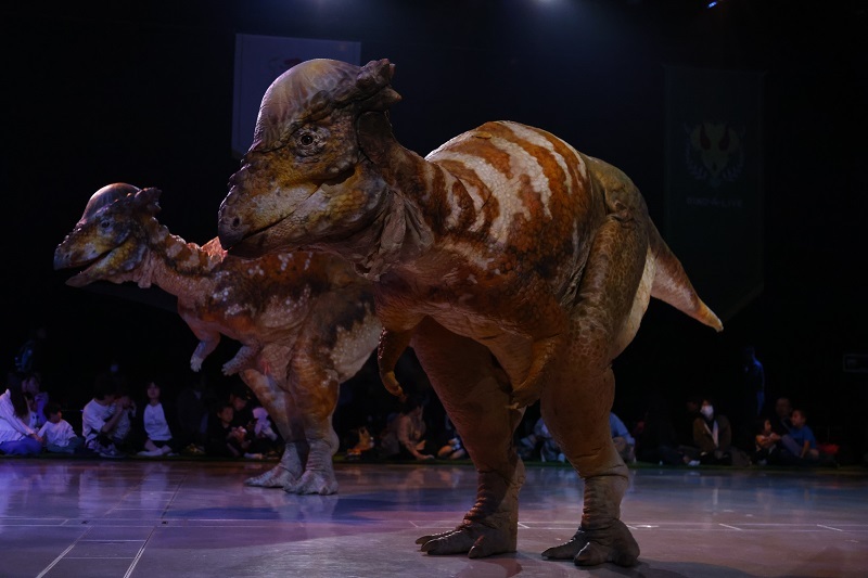 DINO-A-LIVE『DINO SAFARI 2025』ゲネプロの様子