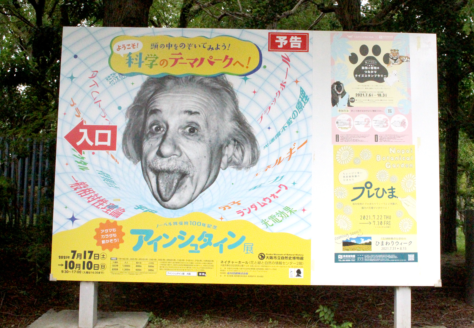 『ノーベル賞受賞100年記念「アインシュタイン展」』　撮影＝ERI KUBOTA