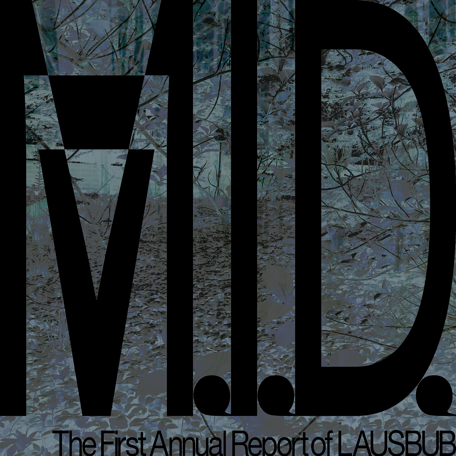 『M.I.D. The First Annual Report of LAUSBUB』ジャケット