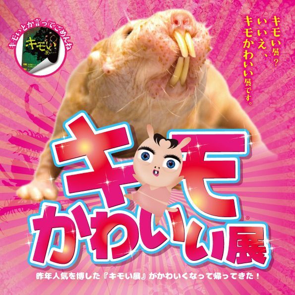30種類以上の キモかわいい 動物を集めた キモかわいい展in大阪 京セラドーム大阪で開催 Spice エンタメ特化型情報メディア スパイス