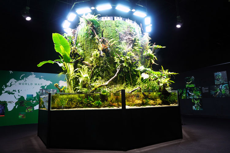 『NATURE AQUARIUM EXHIBITION 2021 TOKYO』《ネイチャータワー360°》