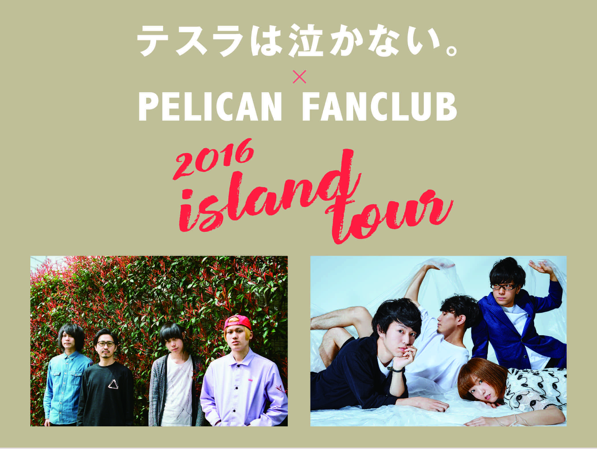 テスラは泣かない。× PELICAN FANCLUB