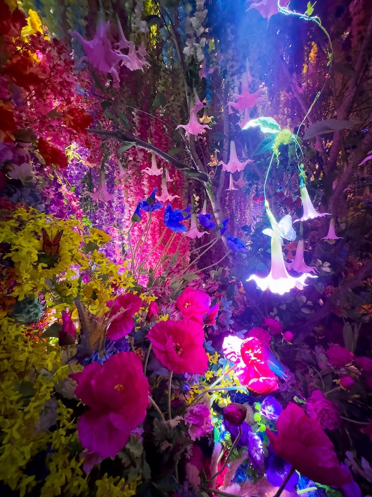 ※展示イメージ (C)mika ninagawa, Courtesy of Tomio Koyama Gallery