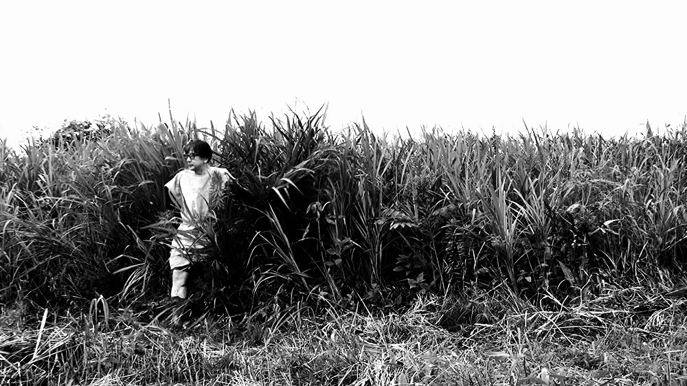 しりあがり寿「野生の現出」