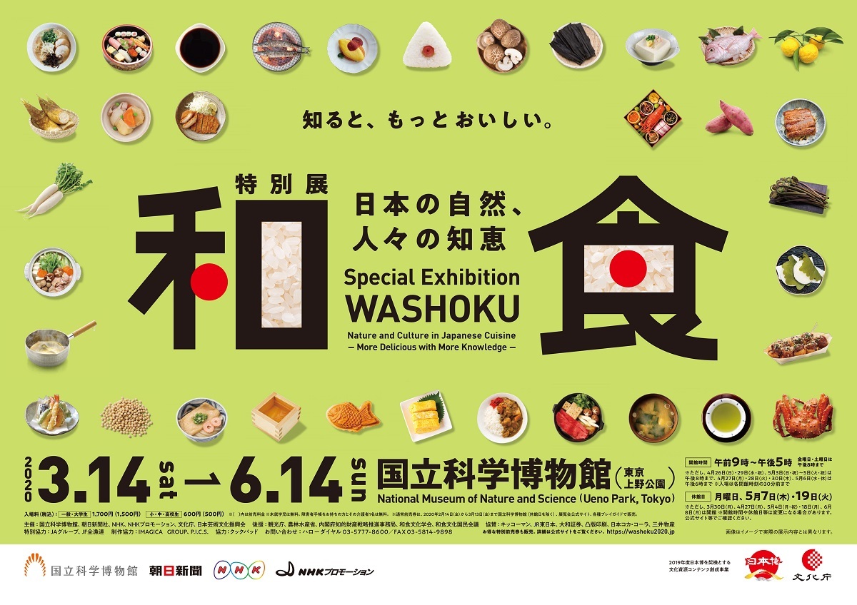 特別展 無料観覧券1枚 和食 ～日本の自然、人々の知恵 国立科学博物館