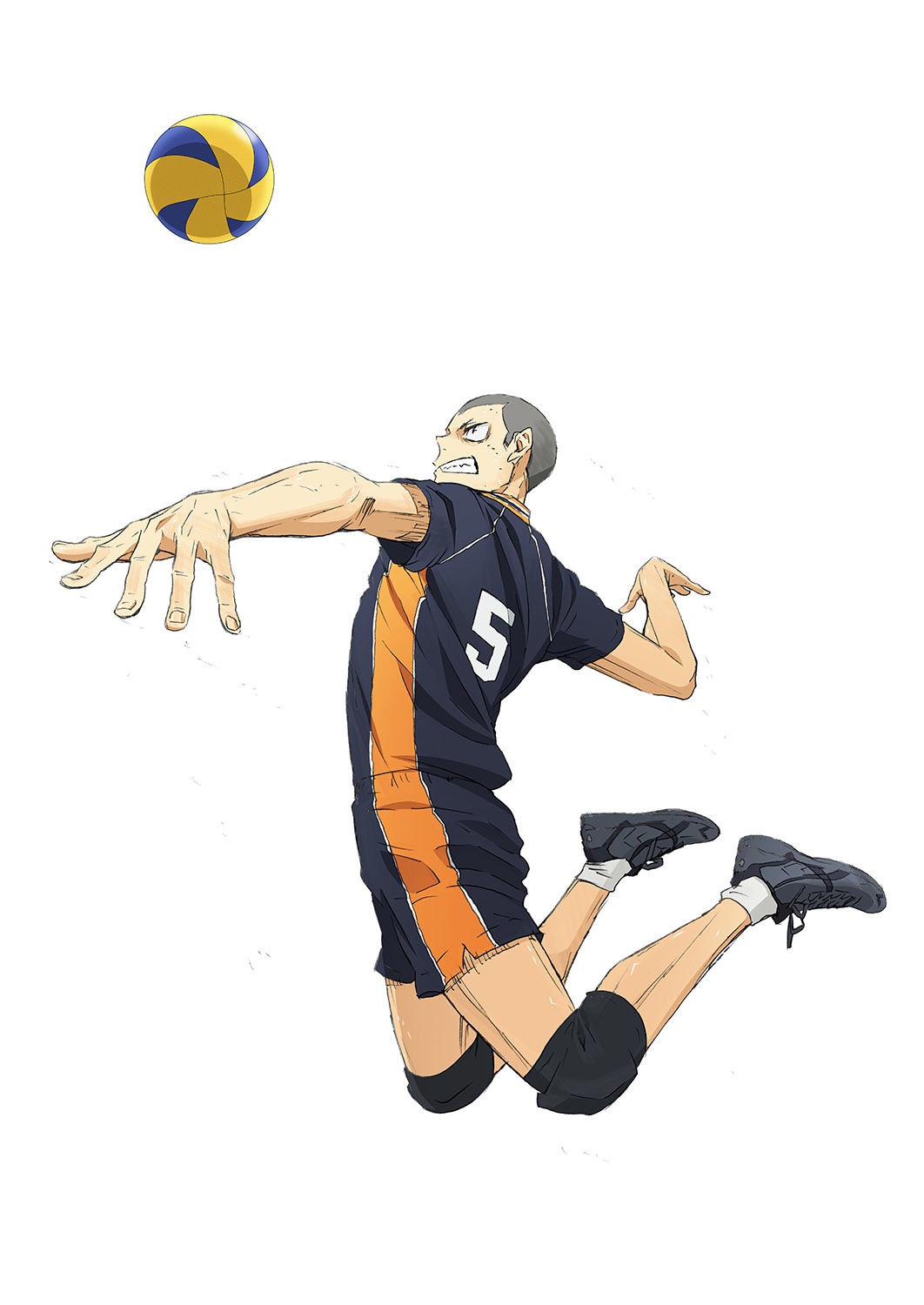 #5田中龍之介　2年　ウイングスパイカー (C)2024「ハイキュー‼」製作委員会　(C)古舘春一／集英社