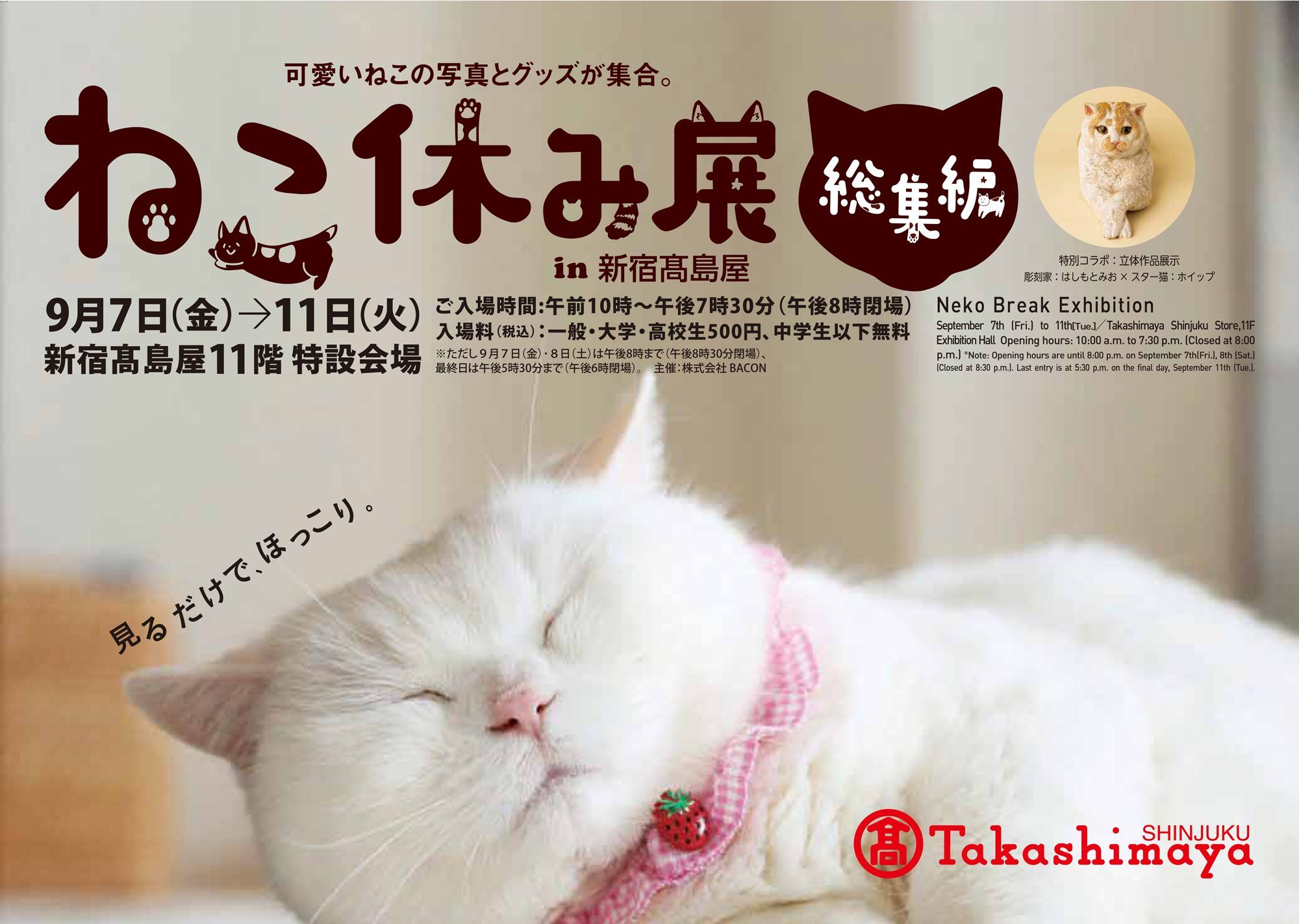 ねこ休み展 総集編が新宿高島屋で開催 トータルsnsフォロワー数300万人超え 猫クリエイターたちが集結 Spice エンタメ特化型情報メディア スパイス