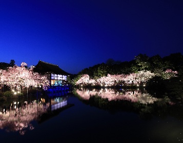 『平安神宮 紅しだれコンサート』が今年も開催、東儀秀樹、NAOTO、川井郁子、TSUKEMENが出演