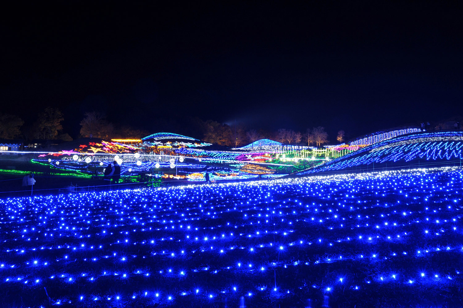 写真：国営讃岐まんのう公園提供