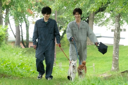 林遣都×中川大志×犬！　映画『犬部！』から大原櫻子・浅香航大・田中麗奈ら10名の追加キャスト情報を解禁