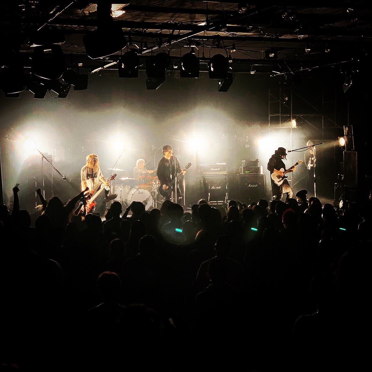 THE HATE HONEY、ライブDVD発売決定 T$UYO$HIを迎えた対談も収録