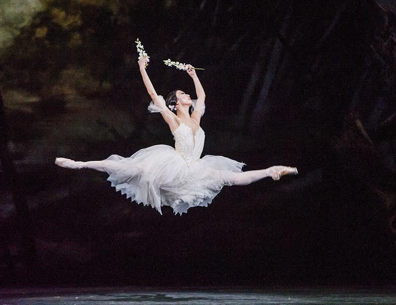 高田茜舞台写真　photo:ROH/Tristram Kenton, 2016