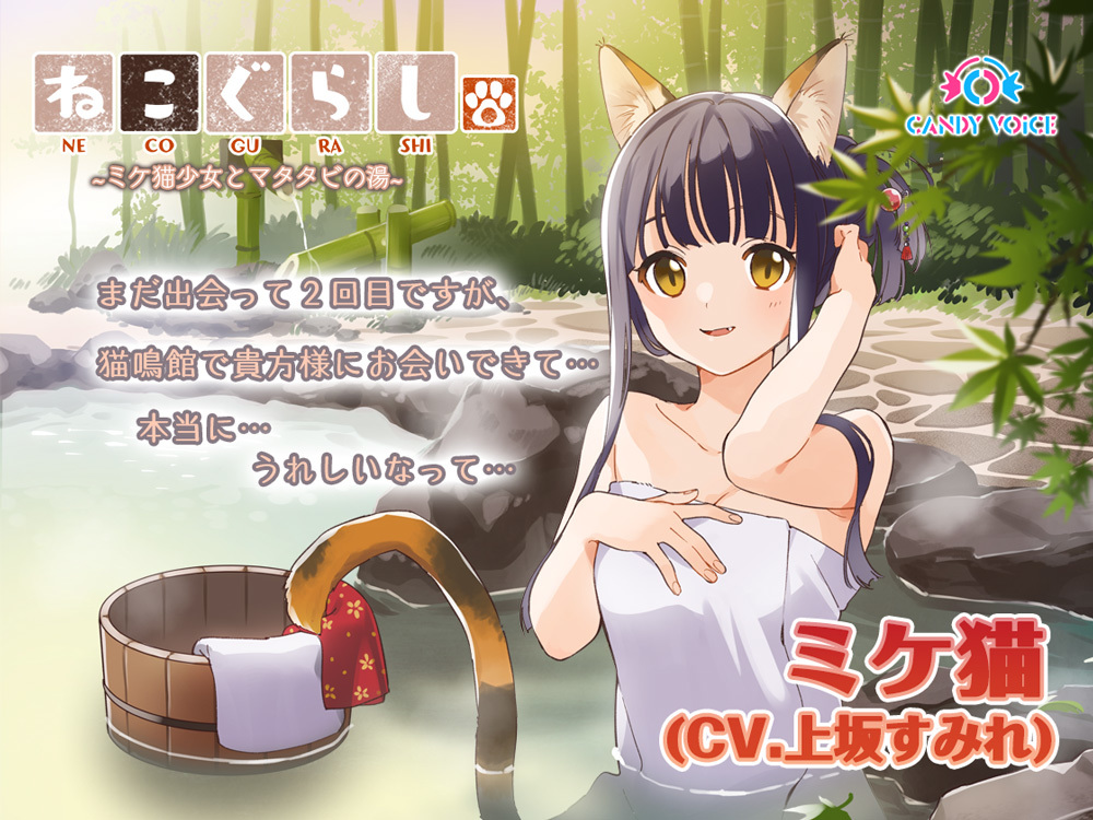 「：ねこぐらし。２〜ミケ猫少女とマタタビの湯〜」ビジュアル