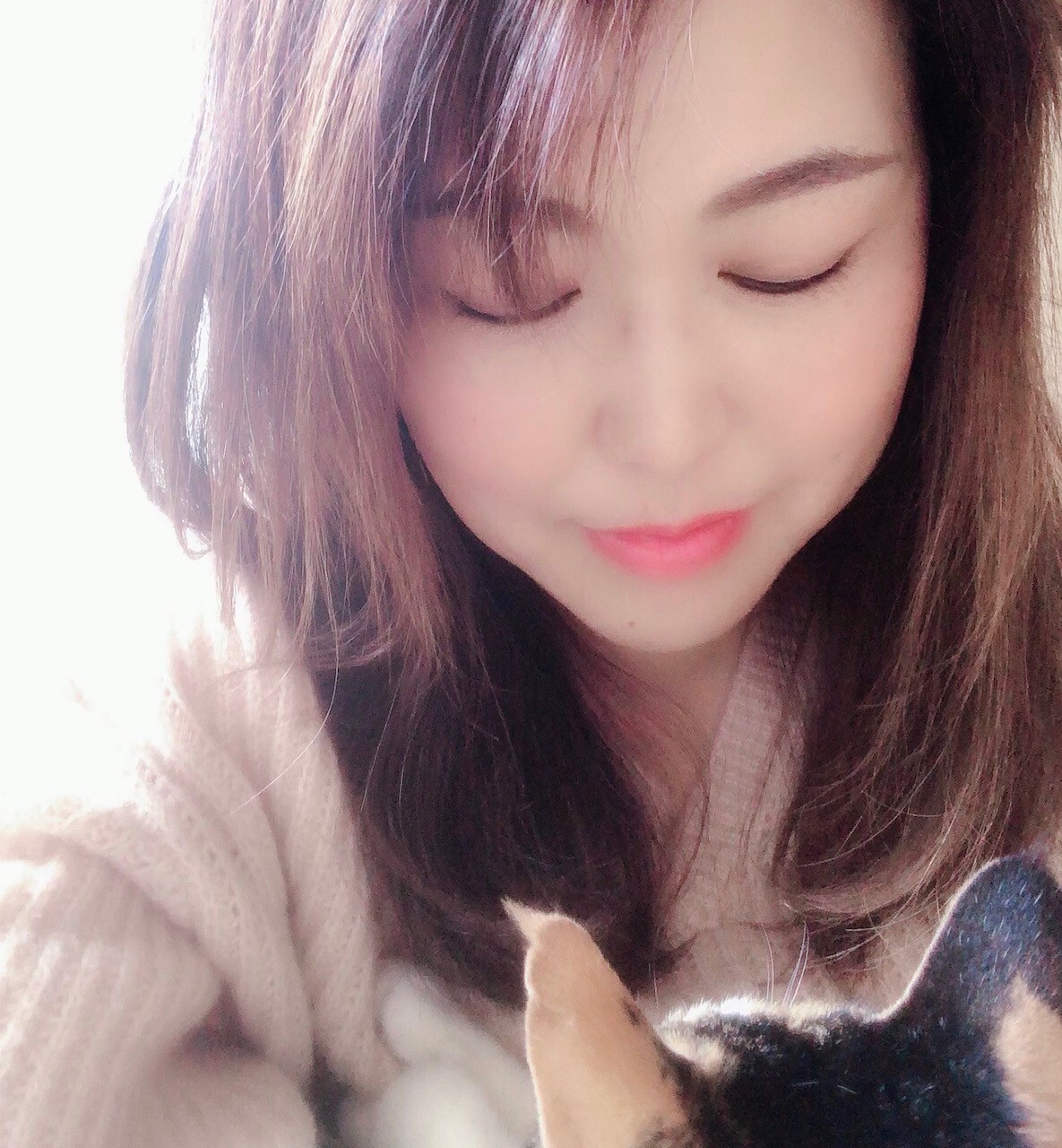 うえだまり