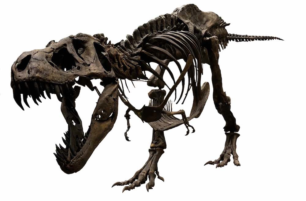 ティラノサウルス全身復元骨格（愛称：スタン）