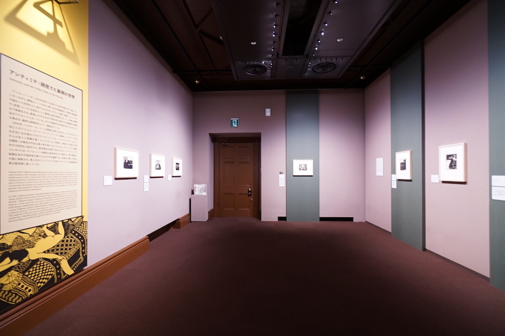 展示風景