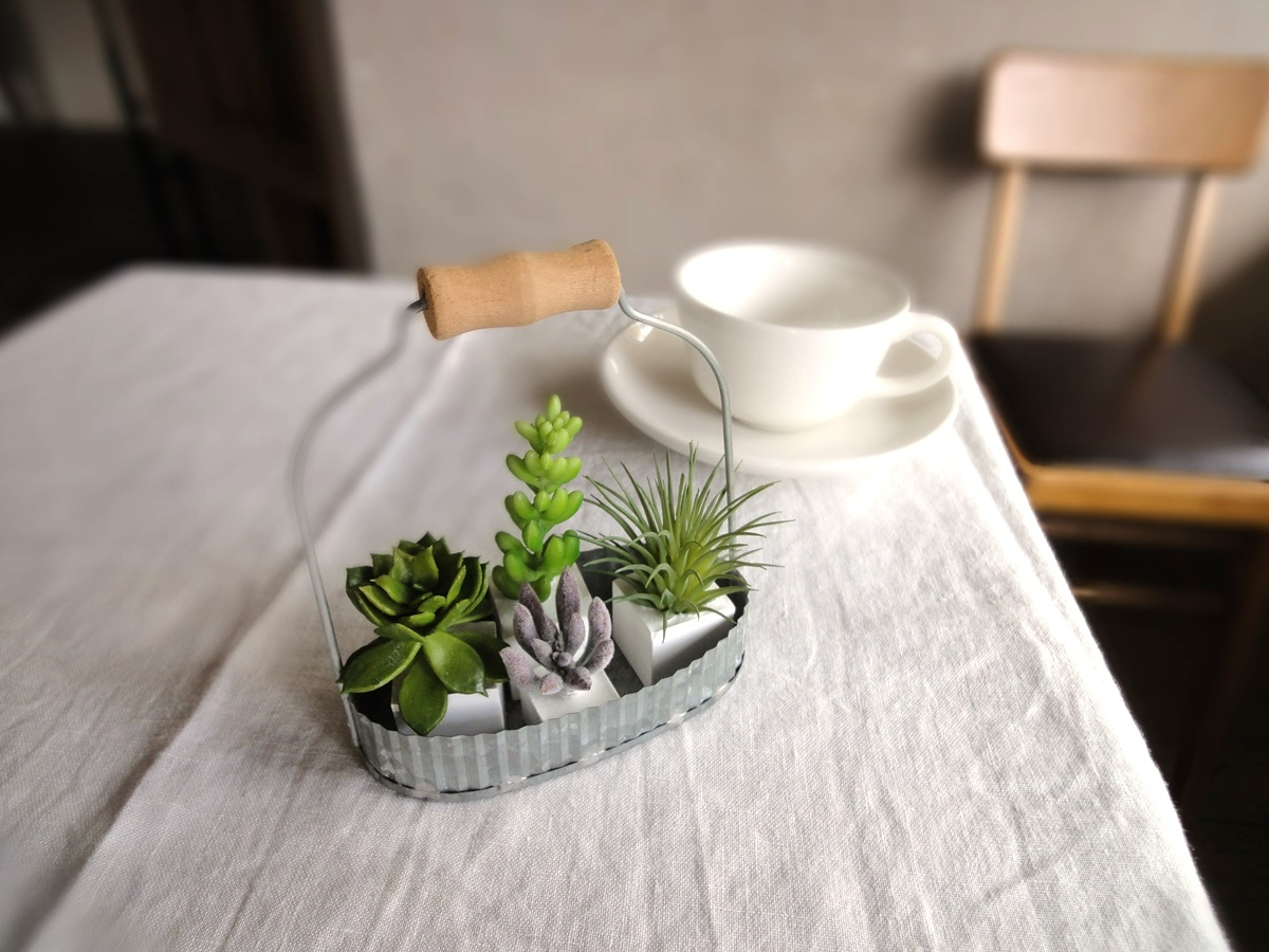  アロマストーンにもなる花器に植えられた多肉植物のオブジェ／Humming Bird