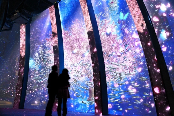 横浜 八景島シーパラダイスにて 花と光の水族館 楽園のアクアリウム 16 Flowers 開催 Spice エンタメ特化型情報メディア スパイス
