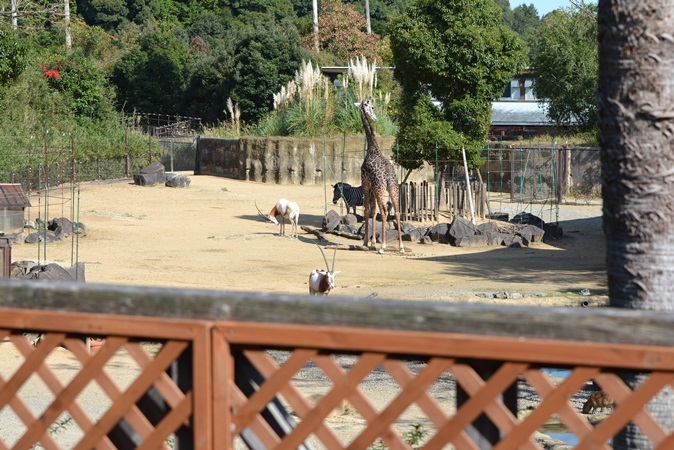 レストランのテラスからの眺め