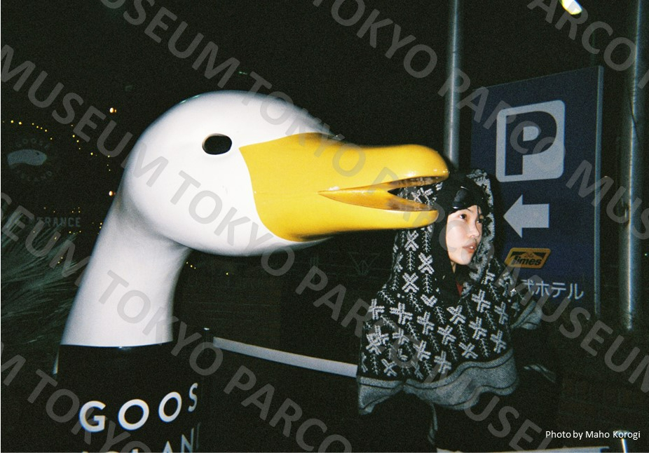 Photo by Maho Korogi