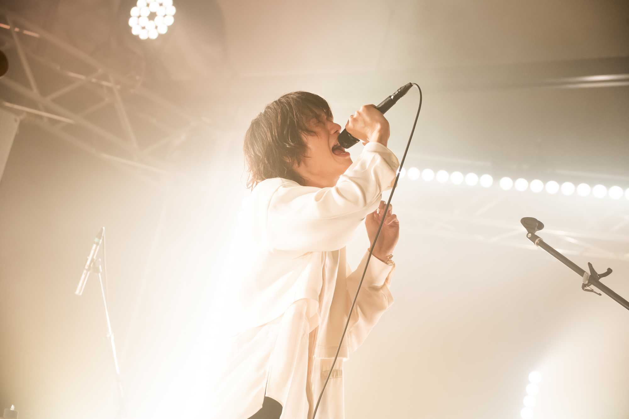 Ivy to Fraudulent Game