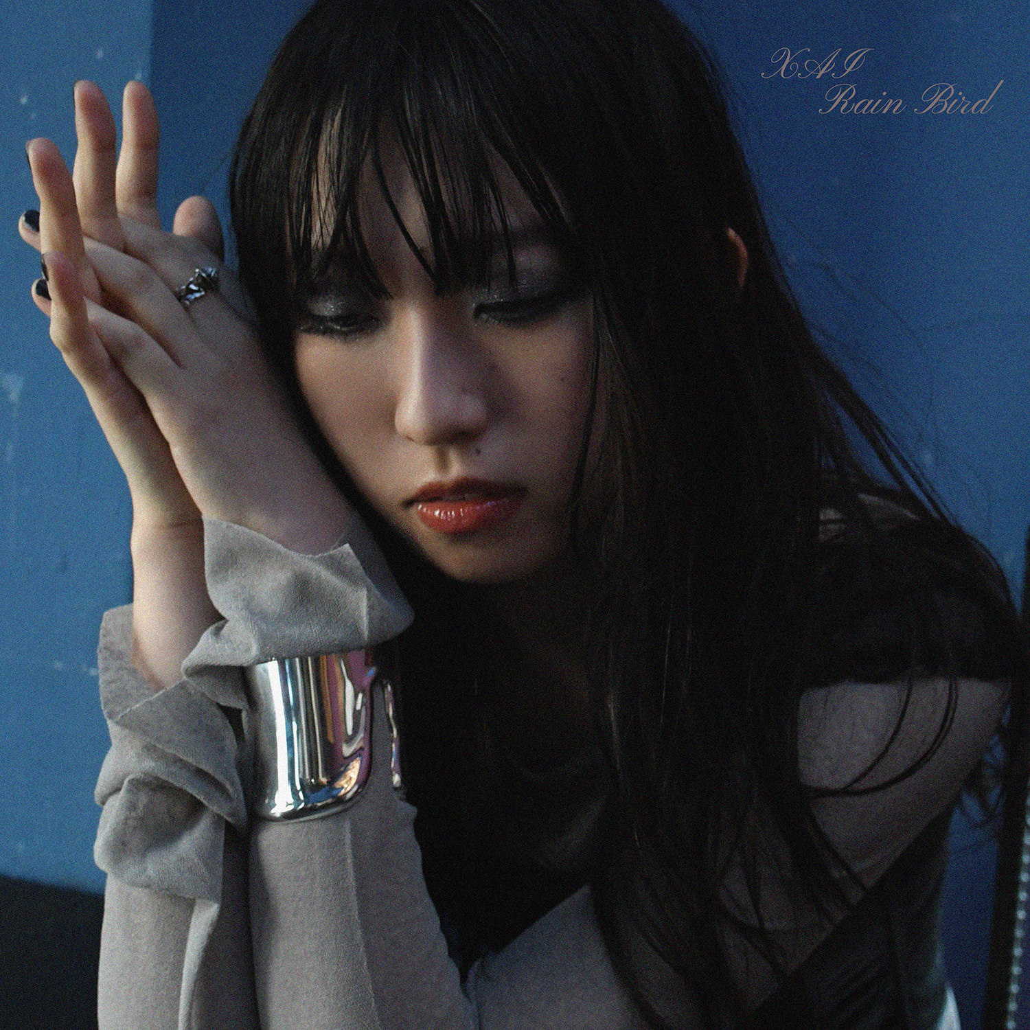 XAI「Rain Bird」