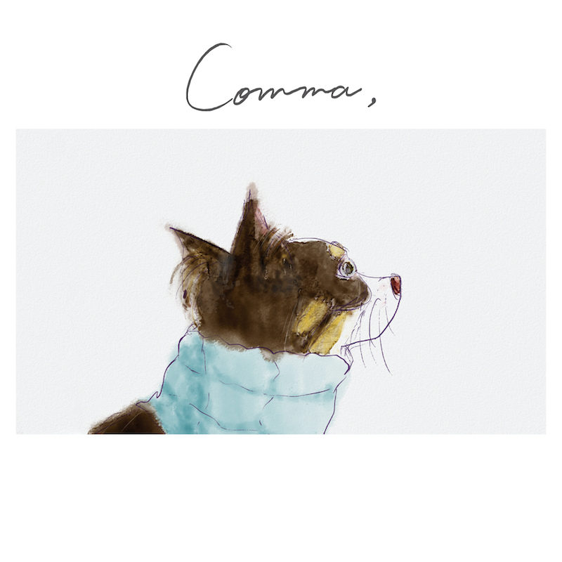 佐々木恵梨 3rdアルバム『Comma』おやすみ盤