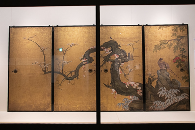 狩野 山雪 《梅花遊禽図襖》 紙本金地着色 四面 各184.0×94.0cm 寛永8年（1631） 京都・天球院