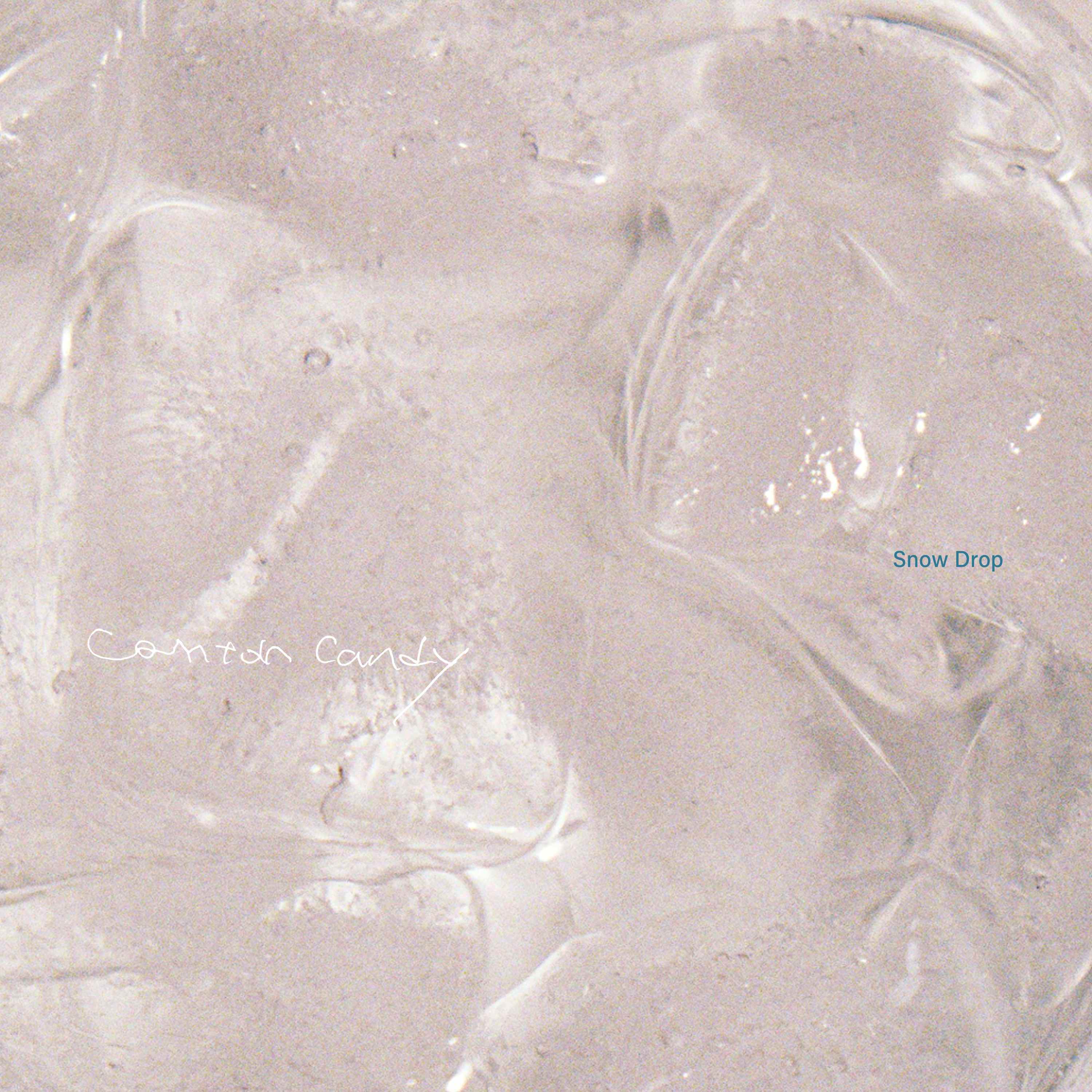 Conton Candy「スノウドロップ」ジャケット