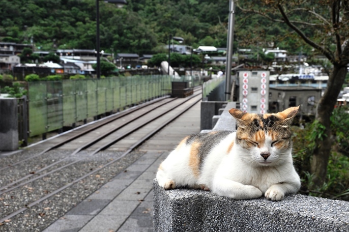 （上）猴硐（ほんとう）駅のすぐ横にある「瑞三礦業公司」の炭鉱の跡地。（下）猴硐名物の猫と炭鉱の線路跡。