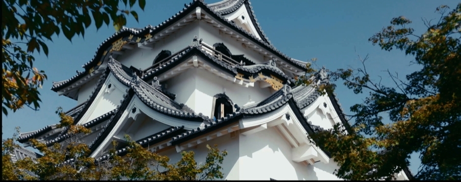 彦根城　DJI JAPAN,Leica Camera Japan