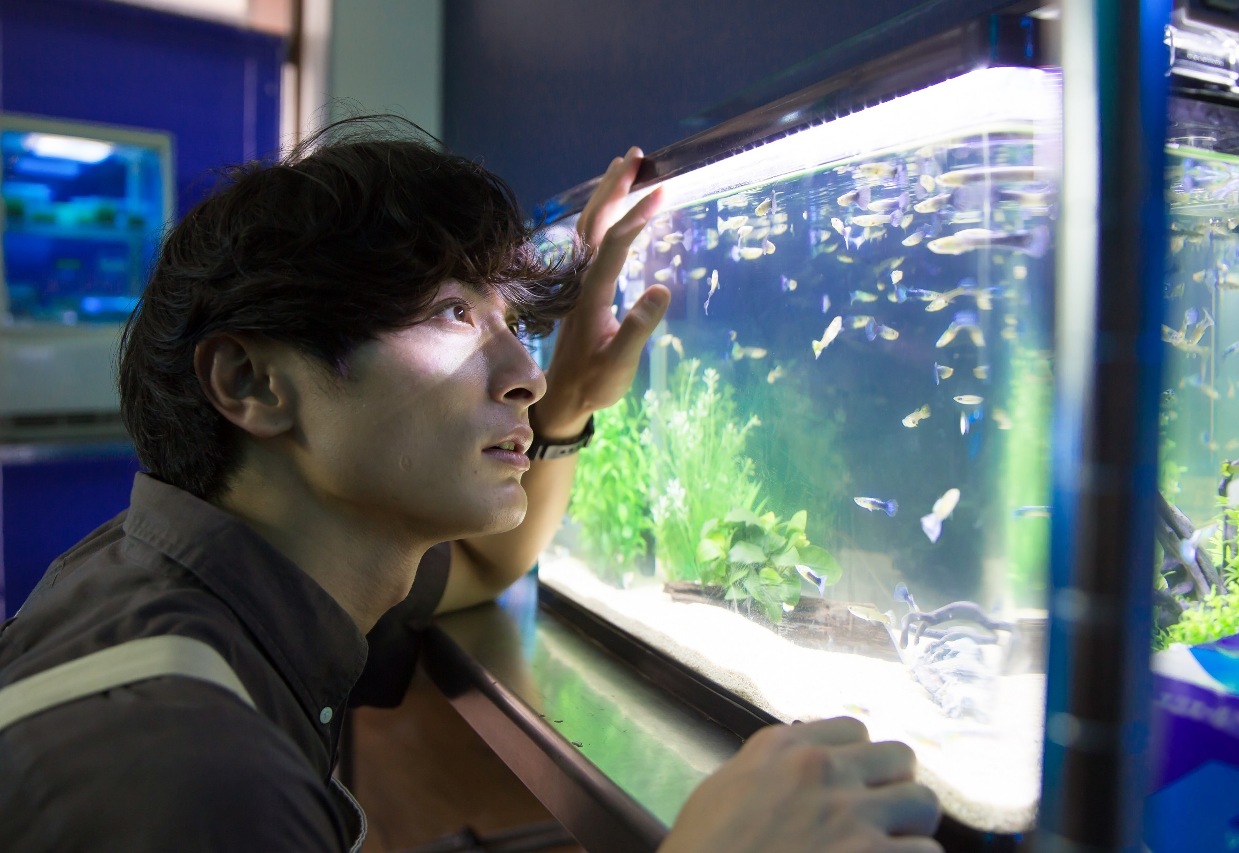 aquarium 盗撮 