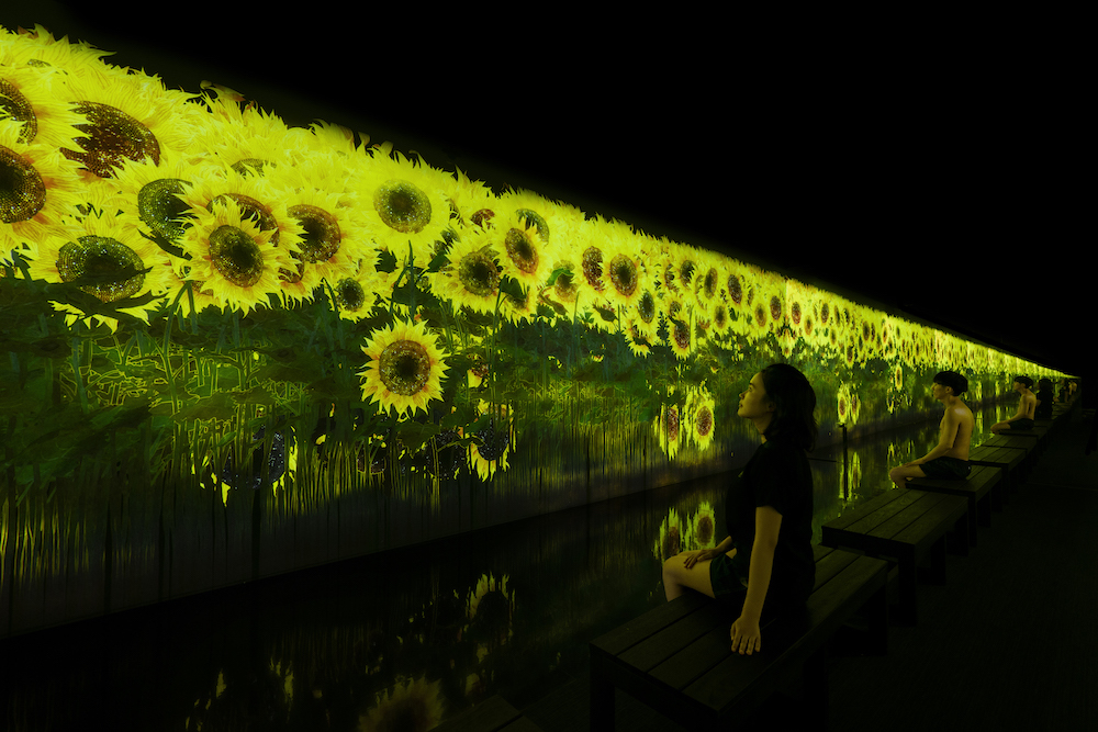 《降り注ぐ雨の中で増殖する無量の生命 - A Whole Year per Year / Proliferating Immense Life in the Rain - A Whole Year per Year》 teamLab, 2020, Interactive Digital Installation, Sound: Hideaki Takahashi