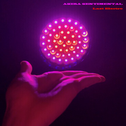 「AKIRA SENTIMENTAL」