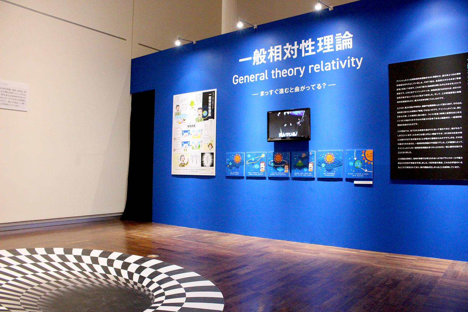 展示の様子
