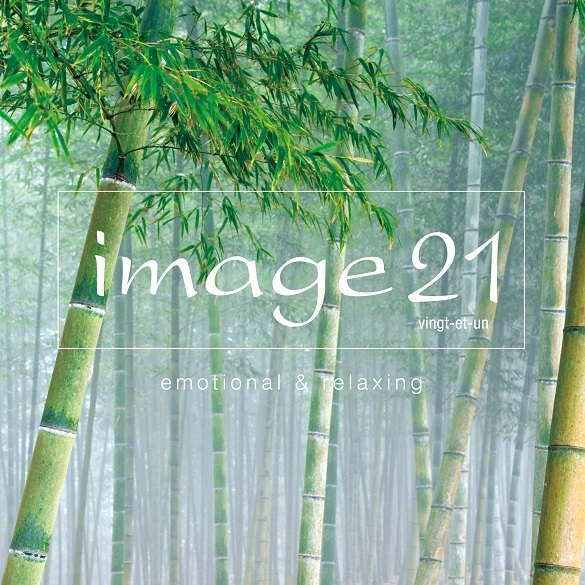 『image21』