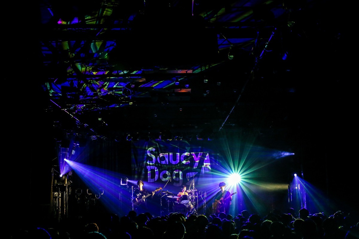 Saucy Dog 撮影＝白石達也