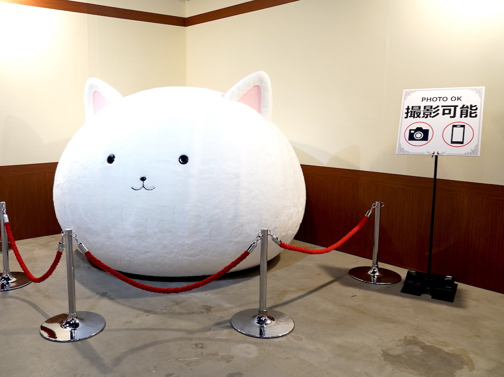 撮影：タナカシノブ