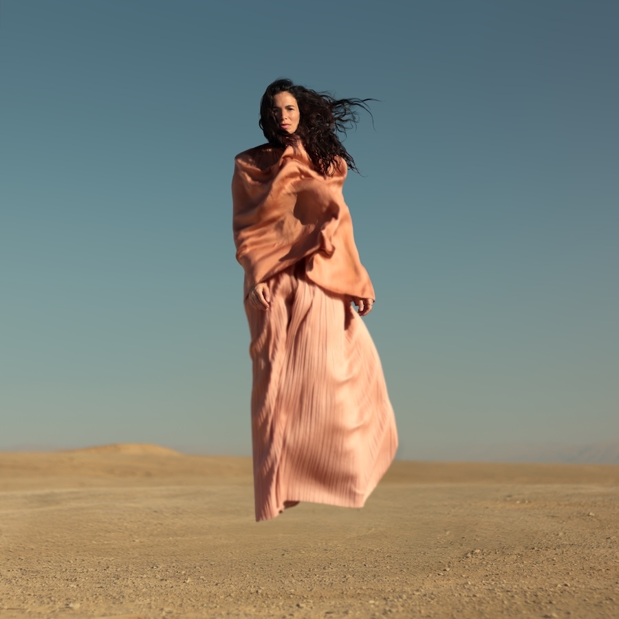 ヤエル・ナイム「Multicolor」