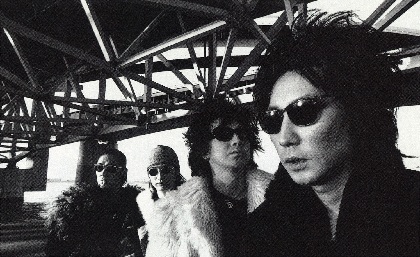 Amazon.co.jp: ichiro LIVE SESSIONS “Dear Blues