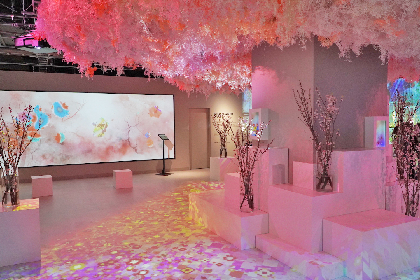 『NAKED FLOWERS FOR YOU』有楽町マルイにオープン　花の体感型アート施設でパーソナルな体験を