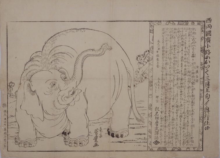 両国広小路興行 象之図 歌川芳豊（初代）／画 東京都江戸東京博物館／蔵
