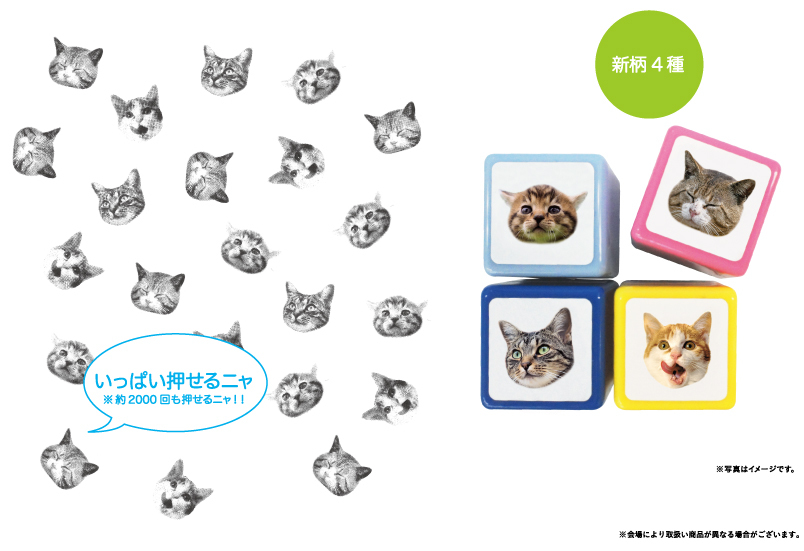 【大人気のねこフォトスタンプ！】 4匹の愛くるしいねこ達がスタンプになりました。