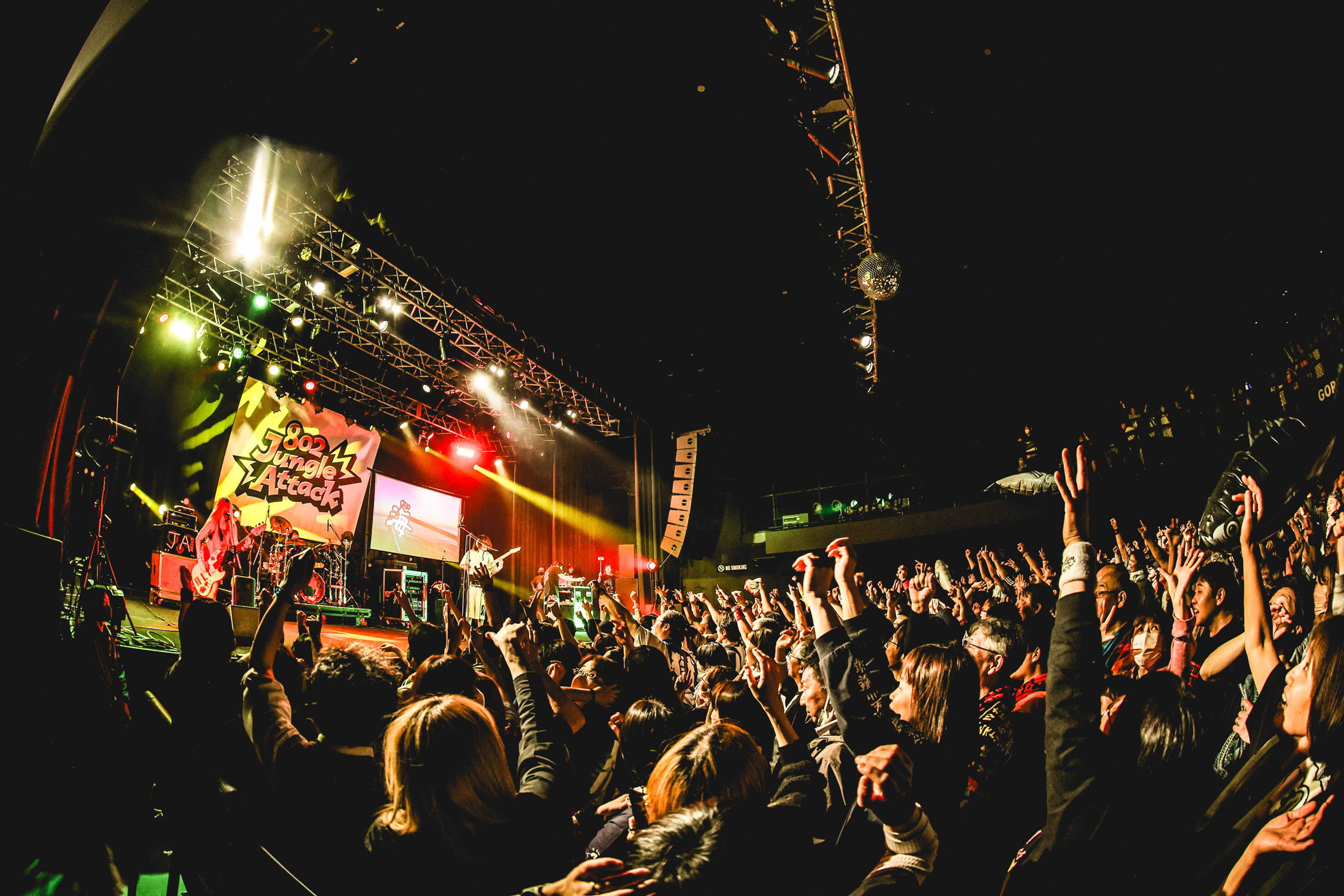 『802 Jungle Attack Vol.5』 写真＝FM802提供（撮影：渡邉一生）