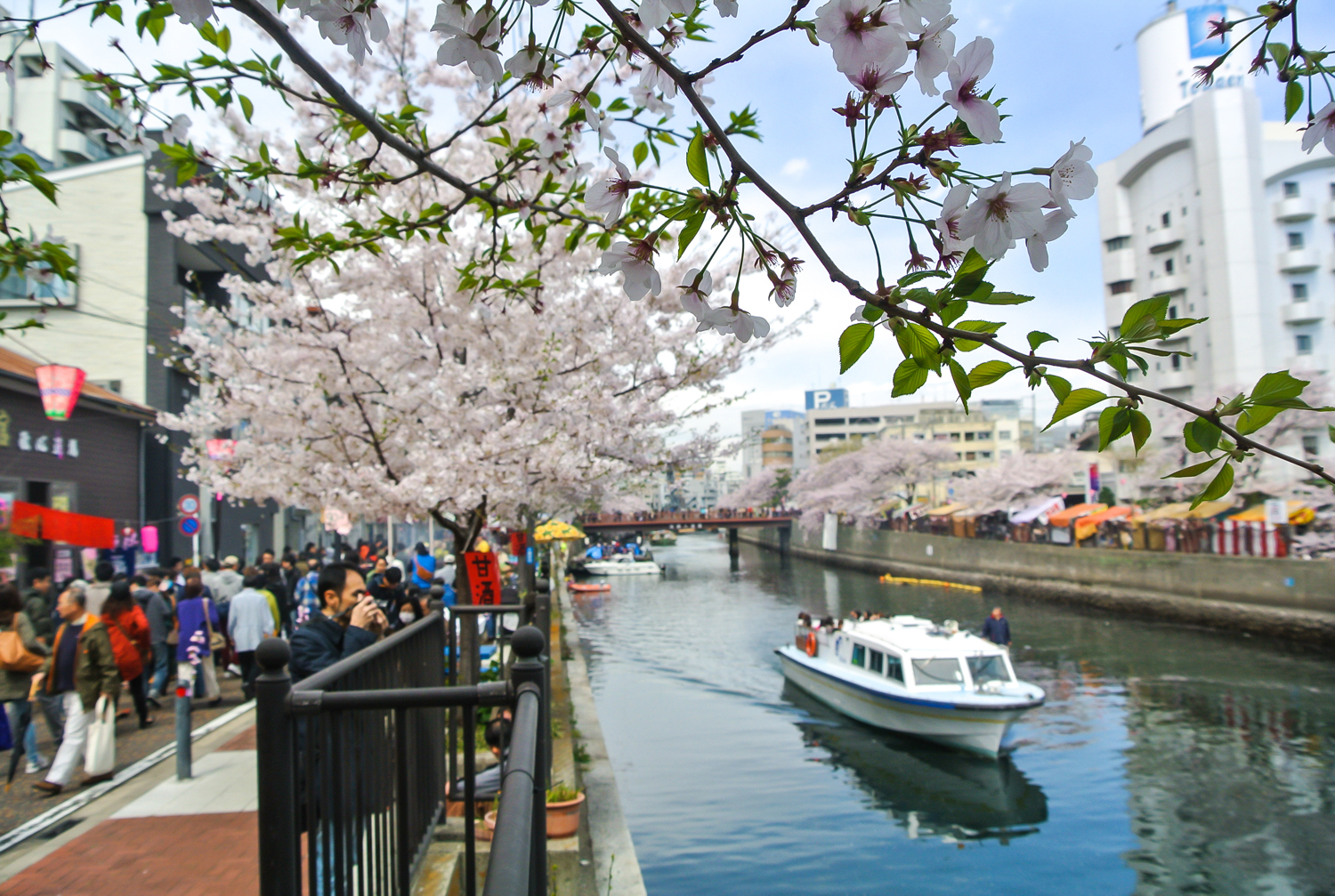 「大岡川」photo by 大野隆一