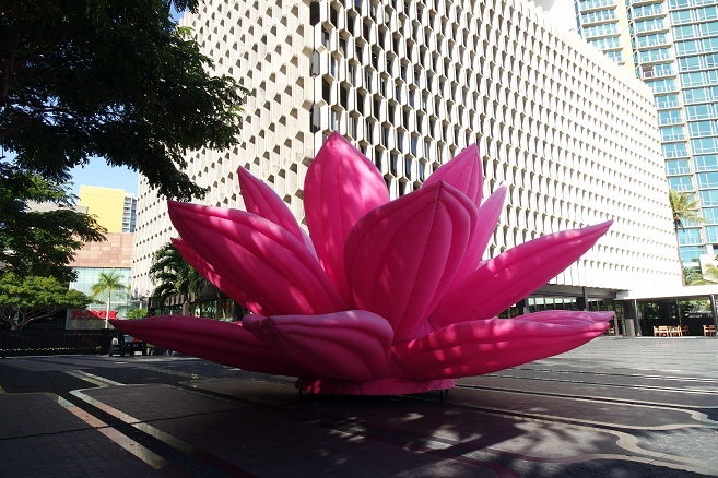 Choi Jeong Hwa《breathing flower》,Honolulu Biennale,2017