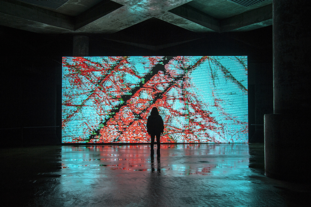 平川紀道「datum」 2016年